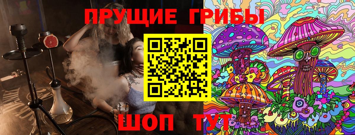 где купить наркоту  Галлюциногенные грибы MAGIC MUSHROOMS  Вход с VPN  Казань 